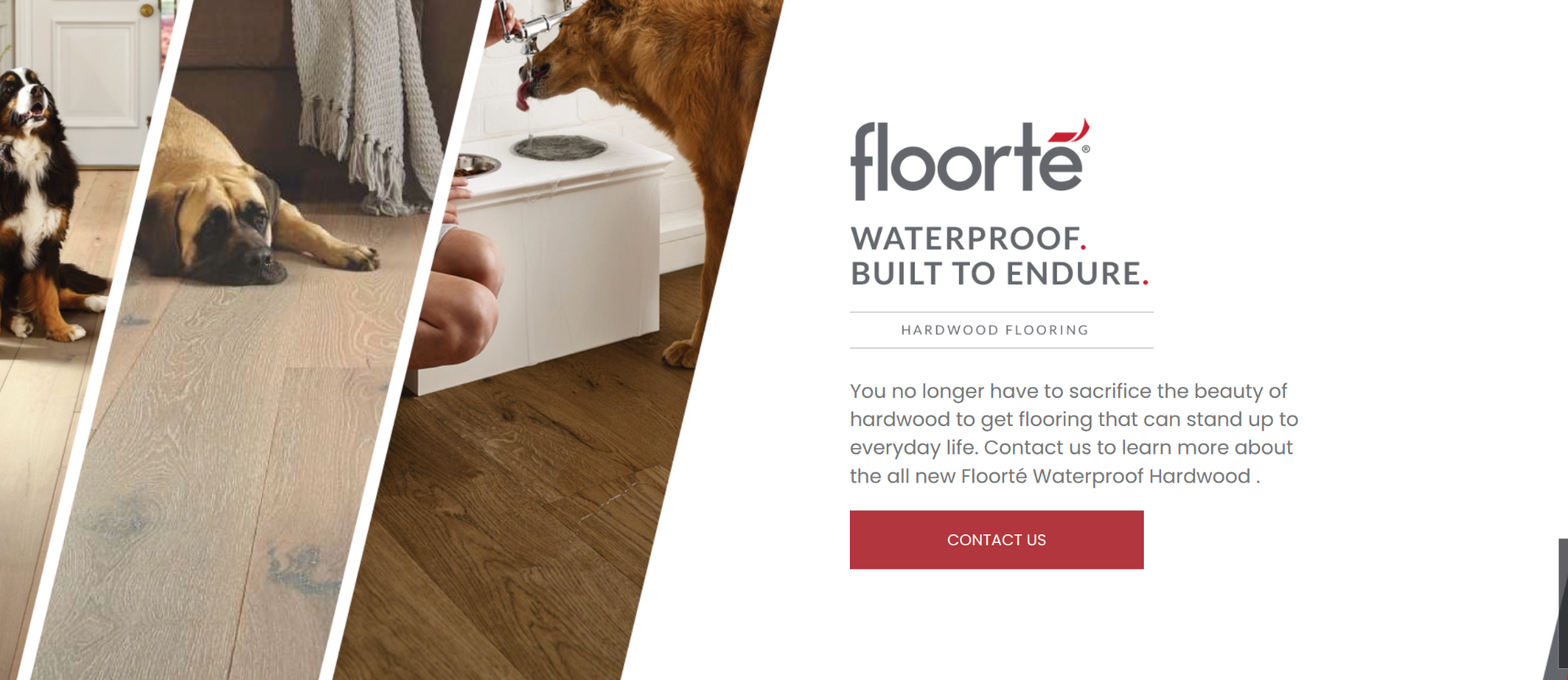 Floorte Ad for Pet proof flooring featuring dogs on hardwood floors | Floor Systems in Lisbon, ME
