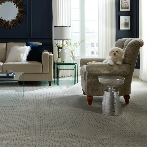 Pet friendly carpet | Floor Systems in Lisbon, MEzzzzzzzzzzzzzzzzzzzzzzzzzzzzzzzzzzzzzzzzzzz