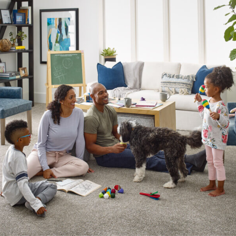 A Room-by-Room Guide to Pet-Friendly Flooring 800x800